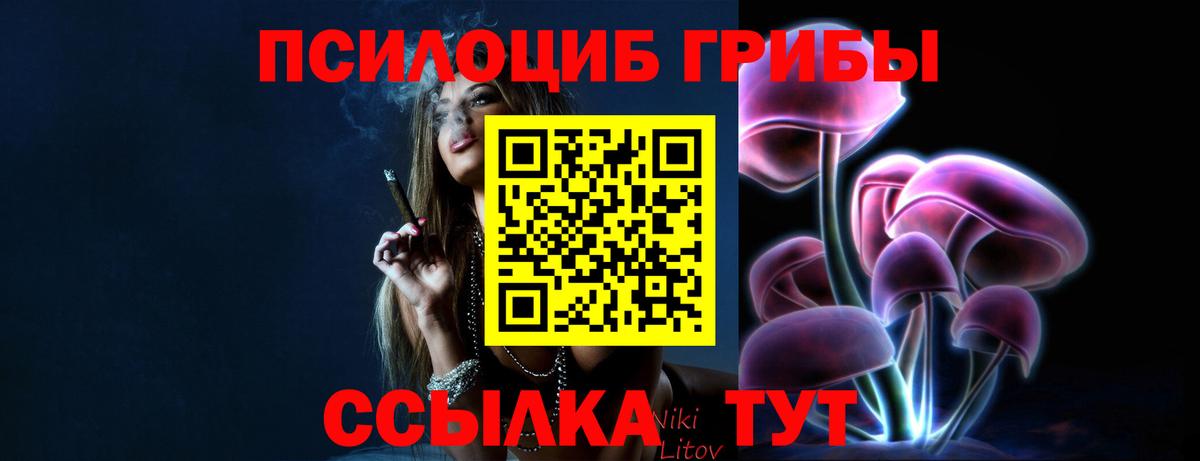 Сарапул  Галлюциногенные грибы прущие грибы  Вход с VPN 